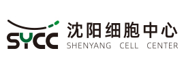 沈陽(yáng)北方科技有限公司